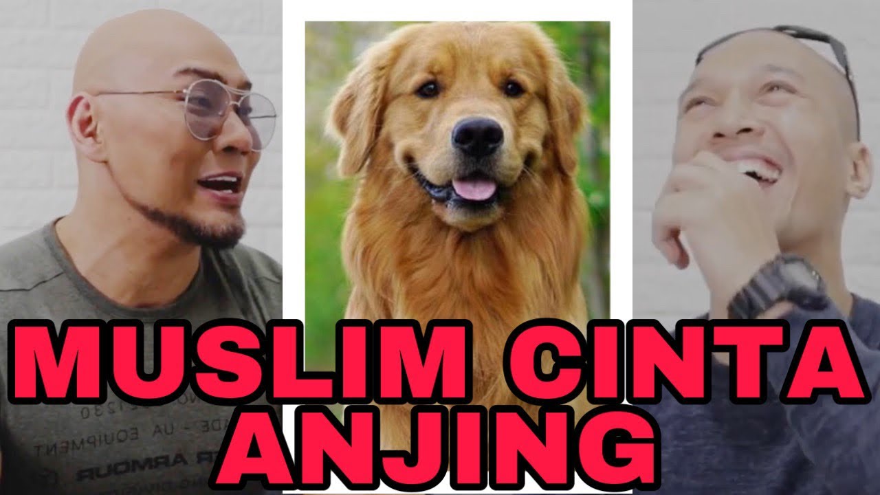 Hukum bela anjing