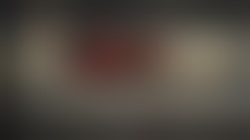 I.D.B.s Bus simulator gameplay