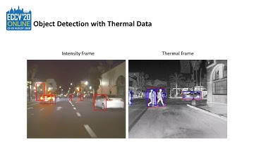 ECCV 2020: Learning to Exploit Multiple Vision Modalities by Using Grafted Networks (Short Video)