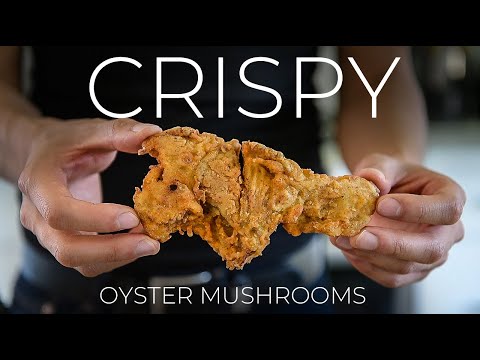 Video: Oyster Mushrooms With Cheese