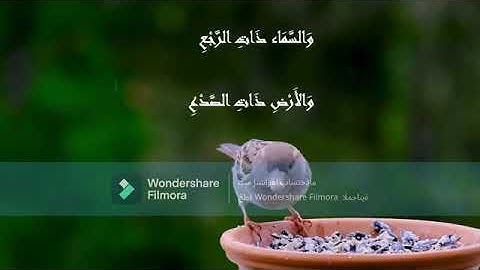 سورة الطارق بصوت أبن #قبيلة_الكبيسات القارئ وليد الكبيسي