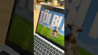 MACBOOK | Đổi Nền Safari Cực Đỉnh, Tạo Phong Cách Riêng!