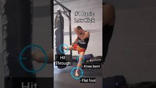 4 Types of Low Kicks