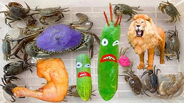 Kem Ốc Chanel dùng gà rán KFC bẫy quái vật ăn sư tử, cua, vịt, con gà, con mèo. Trò chơi làm bác sĩ