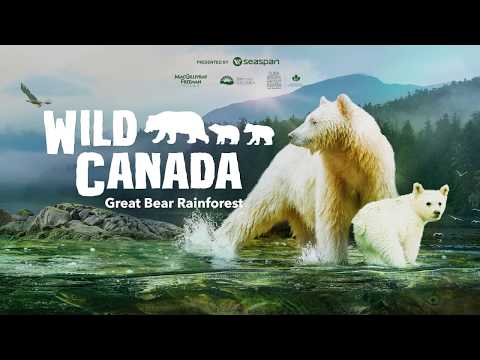 Wild Canada, Great Bear Rainforest