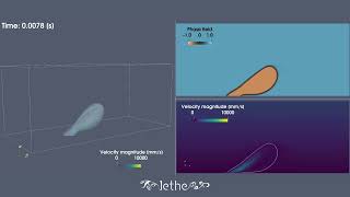 Air bubble detachment in water shear flow