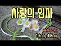 엘가 (Edward Elgar) - 사랑의 인사 (Love's Greeting) Piano Cover 피아노 커버 / 1시간 반복듣기 by mini Music