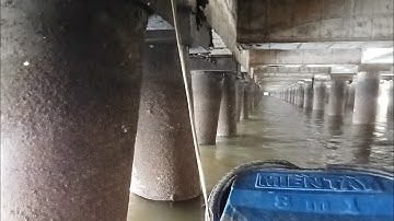 Trở lại Cảng VeDan Gò Dầu Câu cá Nâu với Cần Thủ Sài Gòn/ Câu Cá Nâu Sông