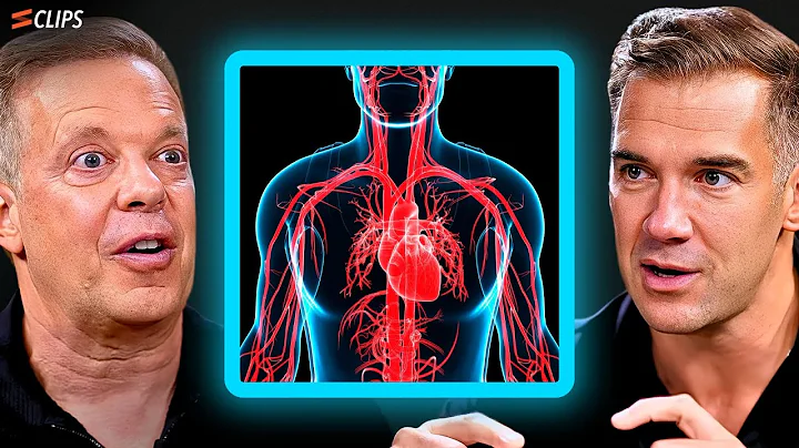 Dr Joe Dispenza Explains “Heart Coherence”