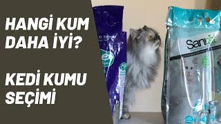 En Iyi Kedi Kumu Hangisi Izlemeden Satin Alma Karari Vermeyin Youtube