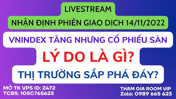 Chứng khoán hôm nay | Nhận định thị trường: Vnindex tăng nhưng cổ phiếu sàn, phân tích cổ phiếu