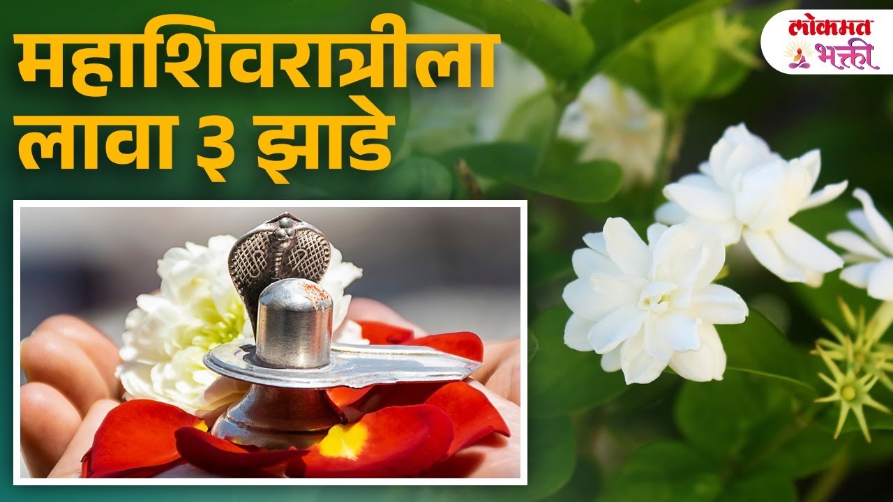 Mahashivaratri Ghari Konti Jhade Lavavi Sampatti Anand Yenyasathi mahashivaratri-ghari-konti-jhade-lavavi-sampatti-anand-yenyasathi