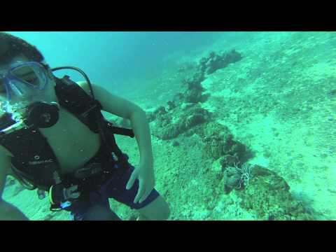 Scuba Diving Cozumel