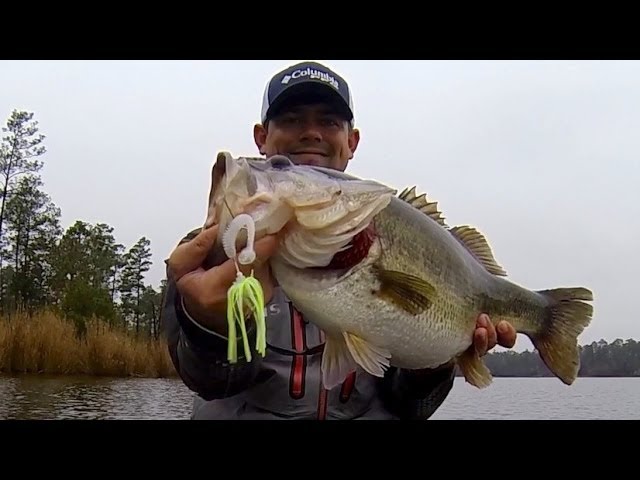 10 lb. Bass on a Chatterbait. Spring Bass Fishing. 