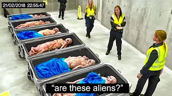 20 Craziest Things Found By Airport Security