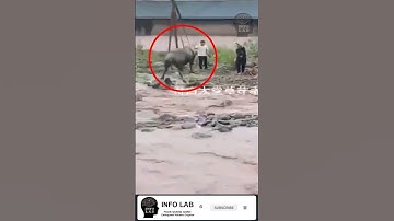 flood #flood  #floodsnews  #californiafloods #infolab #foryou #miraclesofquran