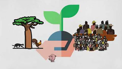 Que hábitos simples e espontâneos podem fazer parte da vida de um cidadão como uma forma de contribuição para um planeta mais sustentável?
