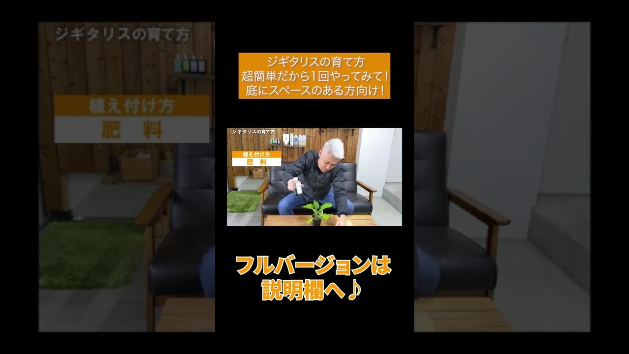ジギタリスの育て方 超簡単だから1回やってみて 庭にスペースのある方向け Shorts Youtube