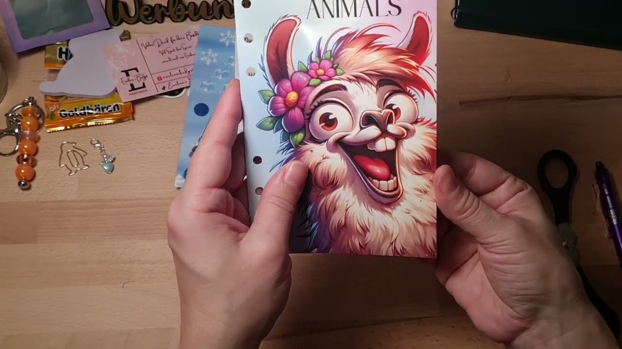 Unboxing von Ewelinas Budget