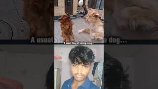 Sad Dog Video 💔(2024 vs 2025)#sad #dog#emotional#shorts