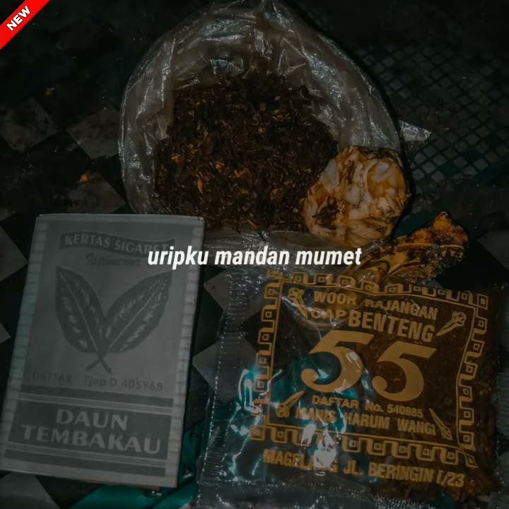 story wa ngelinting (kata kata Jawa lucu )