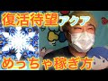 【ツムツム】復活待望アクア！めっちゃコイン稼ぎ方！