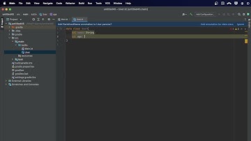 Codespector SerializedName annotation