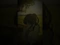 Reality #shorts #anime #viralvideo #trending