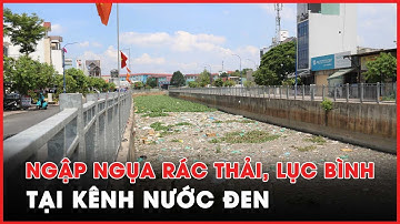 Kênh Nước Đen vẫn đặc kín rác sau 2 năm cải tạo - PLO