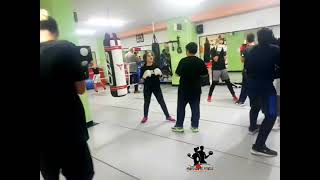 Boxe Amatoriale - Pratola Serra - Avellino