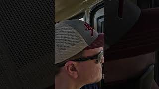 Safari Adventure: Lions Roam Free While You Ride In The Vehicle! #shorts