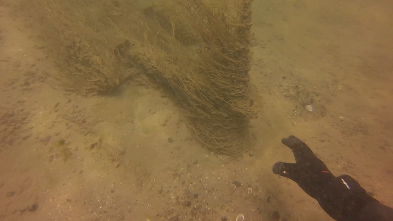 My First Ever Kedge Anchor Find During River Drift Dive Treasure Hunt