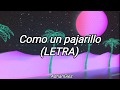 LOS ACOSTA - COMO UN PAJARILLO (LETRA)