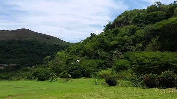 Align Trex 700e PRO dfc, mild 3D, Miguel Hernandez