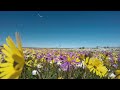 Nature Sounds for Sleep. Relaxing Music. Calm Piano Music. Sleep Music.