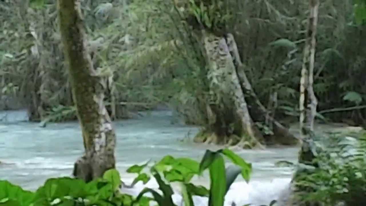 EuroCircle - Swimming in the Waterfalls