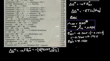 Biochemical Cell Potentials: Example 1