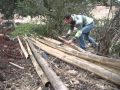 Ritmo afro-peruano tocado en bambú