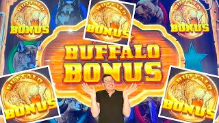 IT'S A GREAT DAY TO BE A BUFFALO!! Great American Buffalo 👍🇺🇸🦬 screenshot 1