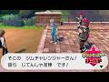 そういうのは警察に言ってもらわないと…【ポケモン剣盾】＃８