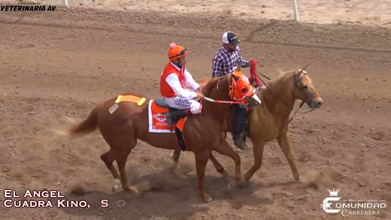 🔥Angel🆚Jessito⭐. Hipodromo de Hermosillo, SON.
