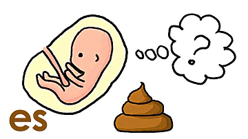 ¿Los bebés hacen caca en el vientre materno?