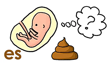 ¿Hacen caca los fetos en la placenta?