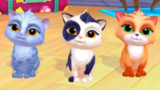💗 Elige TU Gatito 🐱 My Cat - Gato Virtual - Pet Game - Choose Your Pet Cat screenshot 2