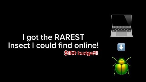 I Purchased The RAREST BUG I Could Find Online!