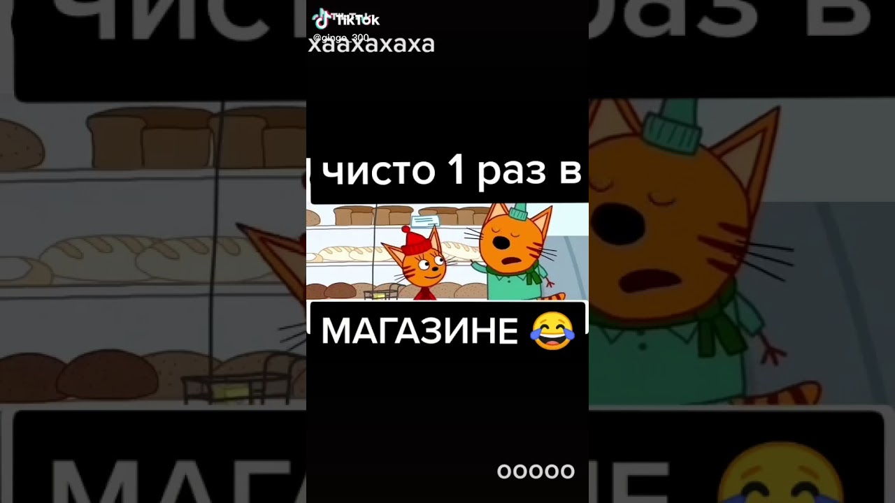 Три кота дисклеймер. Тик ток три кота. Приколы про три кота из тик тока. Три кота Кака шка. RYTP три кота