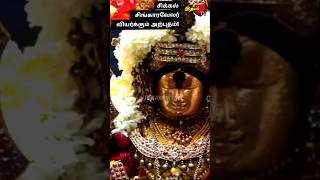 சிக்கல் சிங்காரவேலர் வியர்க்கும் அற்புதம்! #tiruchendur #kanthasasti #soorasamharam #murugan #sikkal