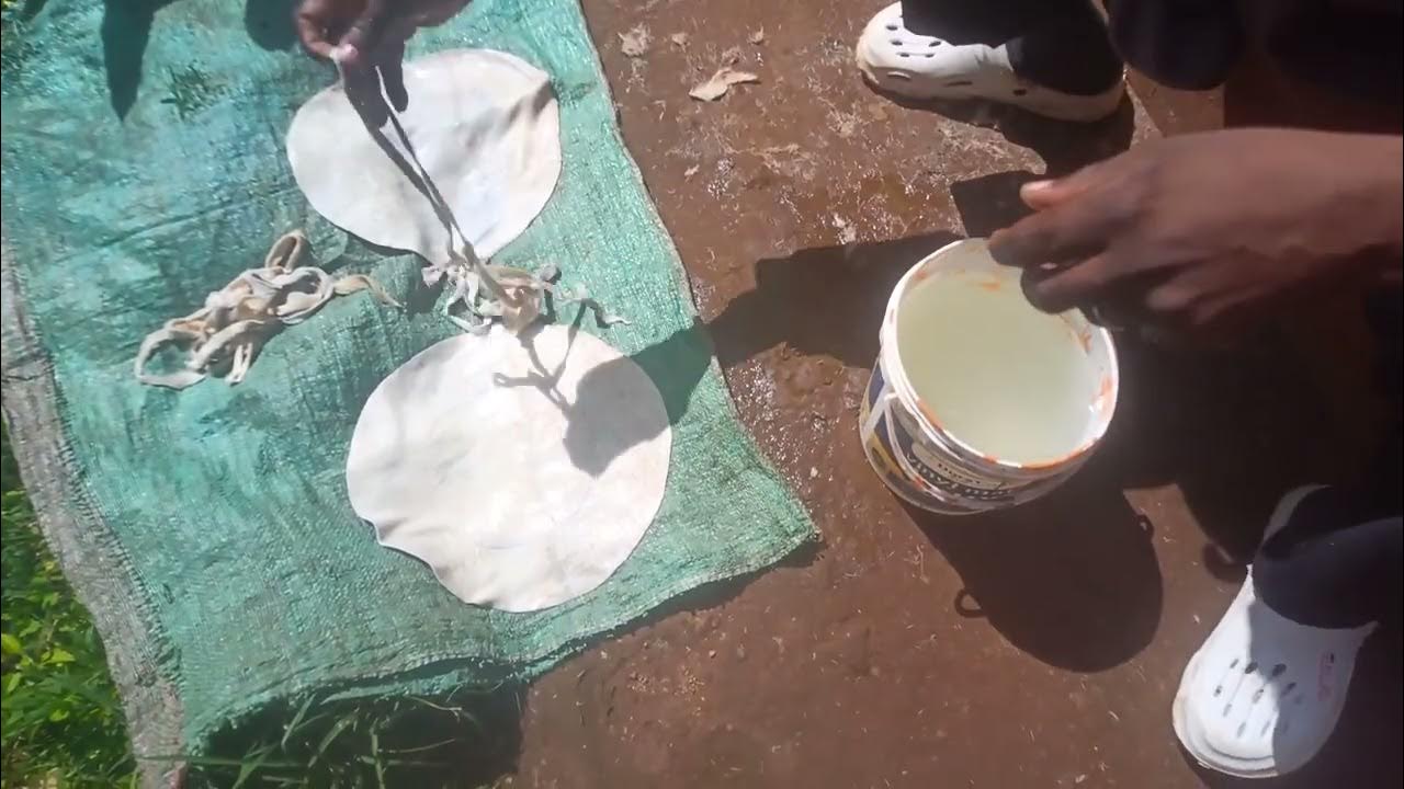 MAKING A DRUM WITH A TIN RESONATOR PART 1 (lacing or thonging). YouTube