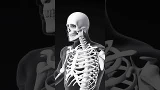 #youtube #ruh İskelet Kadavra Ceset