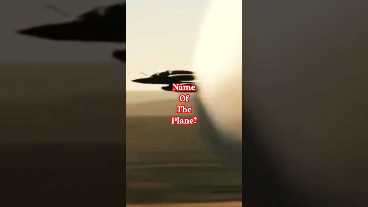 37. Can You Guess This French Magpie? | 🦅